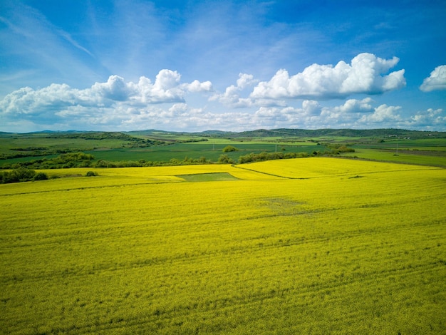 Meadows with a plant in a valley with fields against the background of the daytime sky in Bulgaria