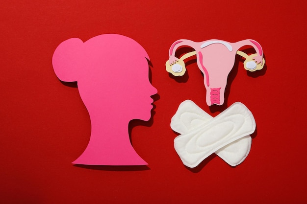 Means of feminine hygiene during menstruation on a red background