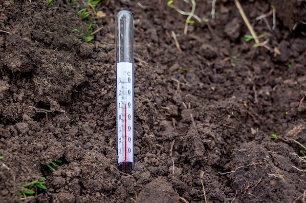 Measurement using a soil temperature thermometer