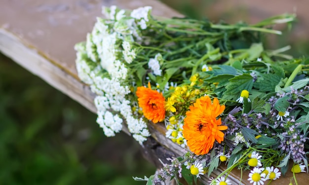 Medicinal herbs Bright summer flowers