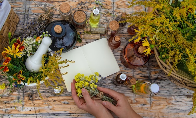 Medicinal herbs on the table Place for notepad text Selective focus