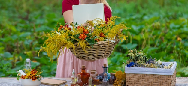 Medicinal herbs on the table Place for notepad text woman Selective focus