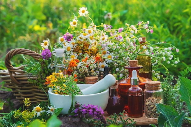 Medicinal herbs and tinctures alternative medicine Selective focus