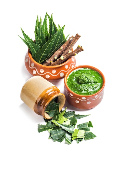 Medicinal Neem leaves with paste and twigs on white surface