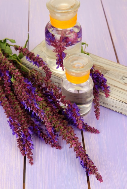 Medicine bottles with salvia flowers on purple wooden background