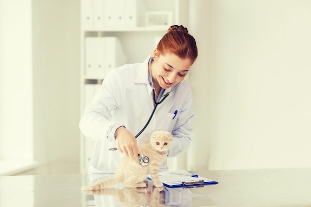 medicine, pet, animals, health care and people concept - happy veterinarian doctor with stethoscope checking scottish fold kitten up at vet clinic