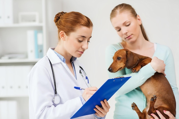 medicine, pet care and people concept - woman holding dachshund dog and veterinarian doctor with clipboard taking notes at vet clinic