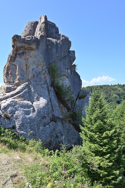 Medieval defense complex rock fortress Tustan