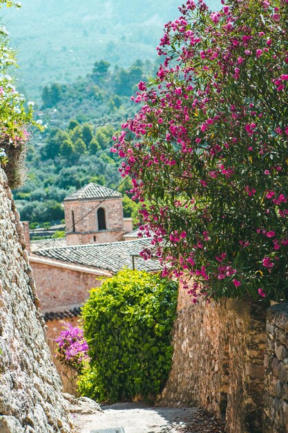 medieval street in the Old Town of the picturesque Spanishstyle village Fornalutx Mallorca