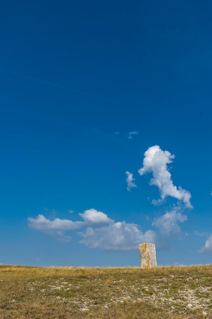 Medieval tombstones in Morine near Pluzine in Bosnia and Herzegovina