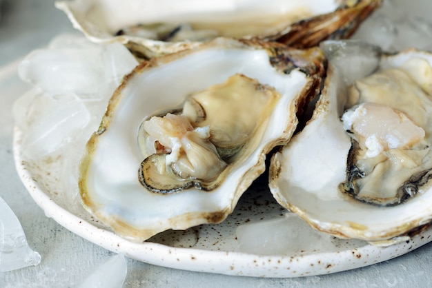 Mediterranean oysters on a light background with ice