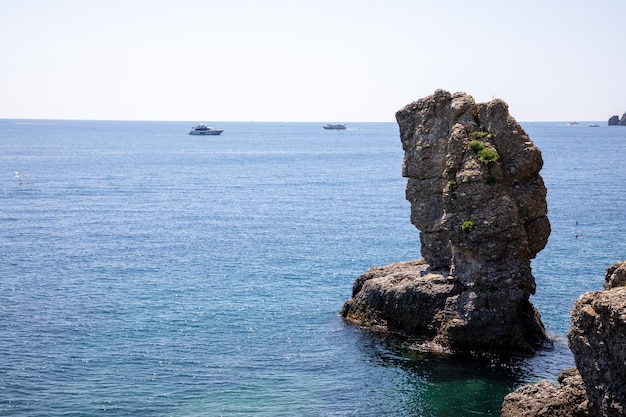 Mediterranean Sea and lonely tree on the stone Portofino village on the Italian Riviera