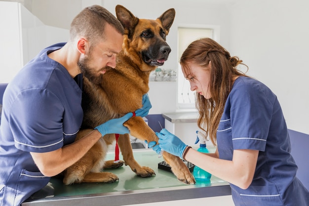 Medium shot doctor making dog an injection