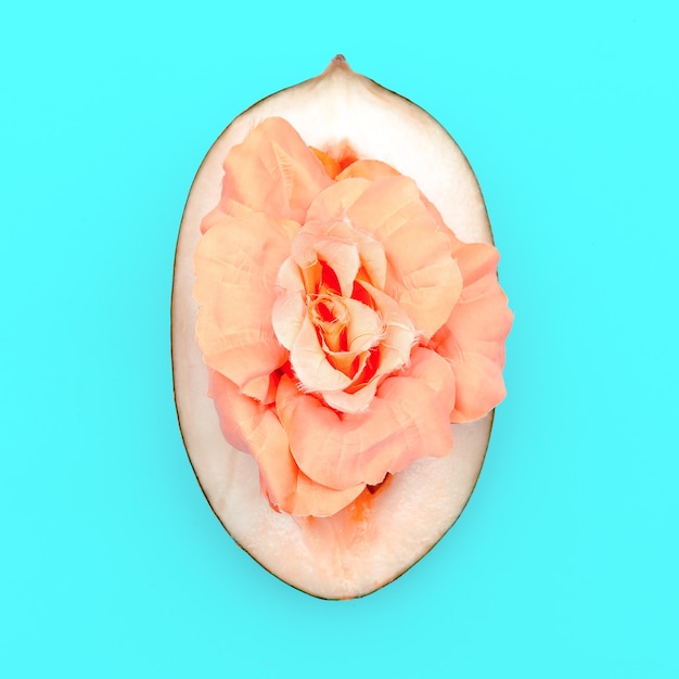 Melon and Rose. Minimal art style design