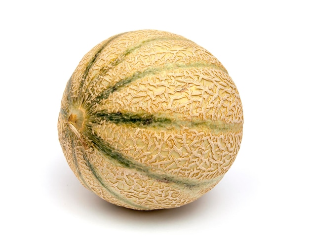 Melon on a white background