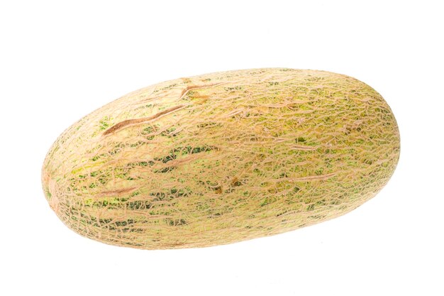 Melon