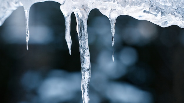 Photo melting icicles