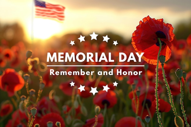 Memorial day American flag amidst poppies at sunset symbolizing honor and remembrance