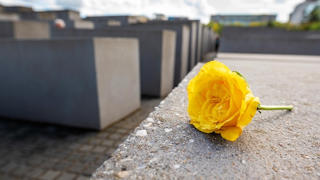 Memorial to the Murdered Jews of Europe in Berlin downtown Germany