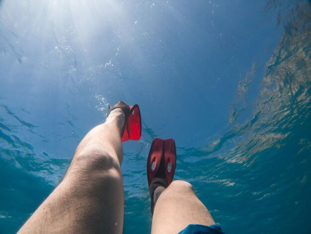 Men legs in flippers underwater