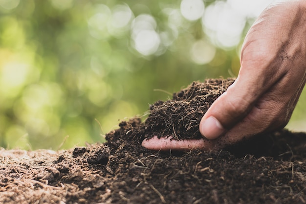 Men's hands are picking up soil to plant trees.