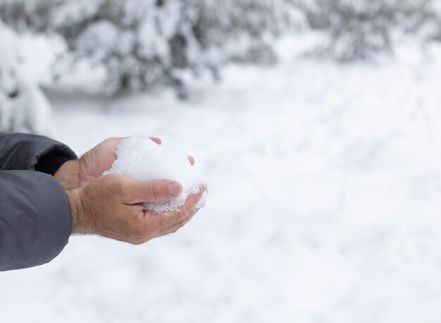 Photo men's hands hold snow in their palms in nature