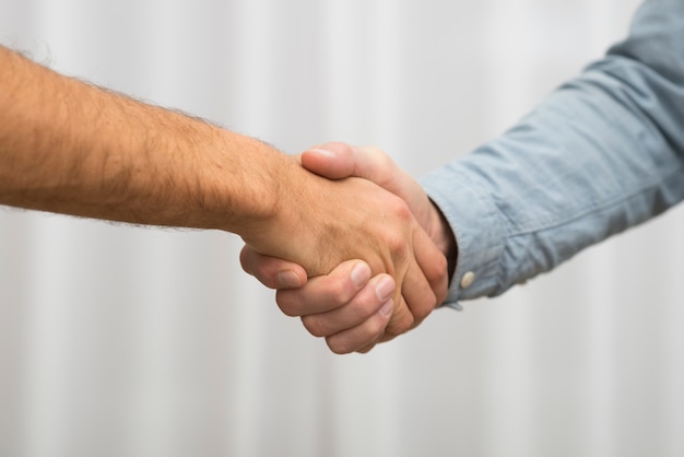 Men shaking hands in room