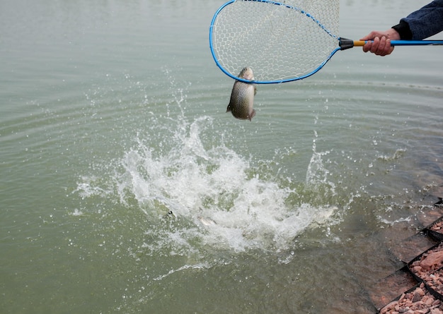 Men throw fish into the lake. preparation for the sport fishing tournament on the lake