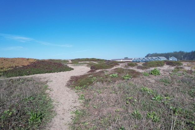 Mendocino and Noyo headlands California