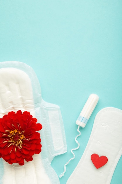 Menstrual tampons and pads on blue background. A rose flower lies on a menstrual pad. Menstruation cycle. Hygiene and protection. Top view. Vertical photo