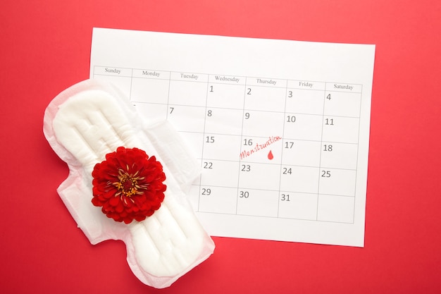 Menstruation calendar with pads on red background. Woman critical days, woman hygiene protection. Menstrual pain