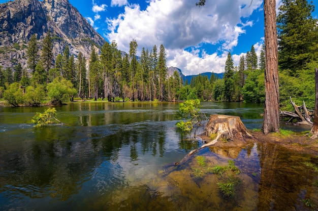 Merced river flowing through yosemite national park in california usa