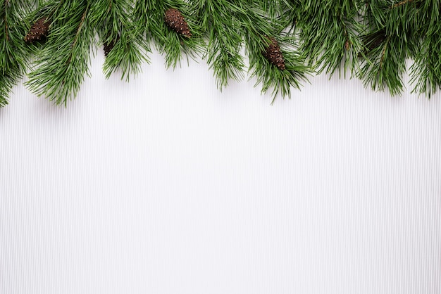 Merry Christmas or New Year white background with pine branch border