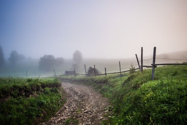 Mesmerizing mystical landscape of a road and forest growing on a mountain slope covered in thick fog on a warm summer morning