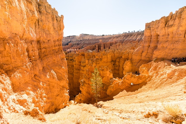 Mesmerizing view of Bryce Canyon national park under a blue clear sky at sunset in the USA