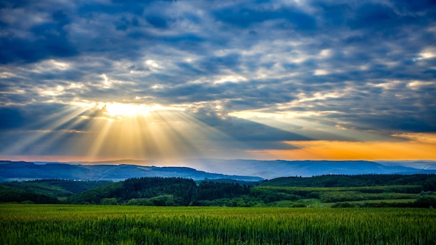 Mesmerizing view of a green landscape with trees under a beautiful cloudy sky