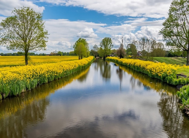 Mesmerizing view of the river surrounded by yellow flowers