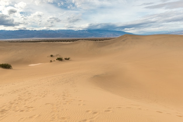 Mesquite Flat Sand Dunes, Death Valley National Park