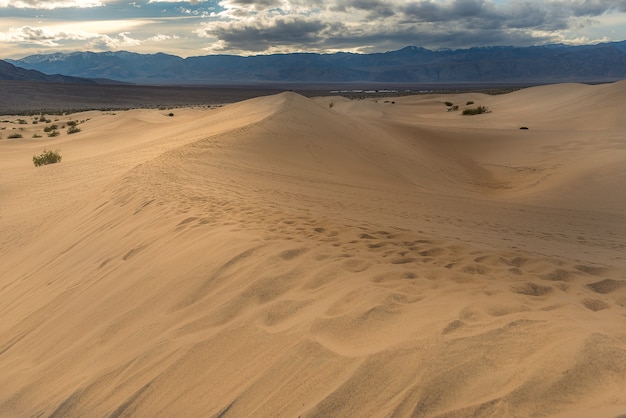 Mesquite Flat Sand Dunes, Death Valley National Park