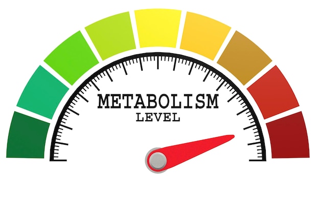 Metabolism level measuring scale with color indicator