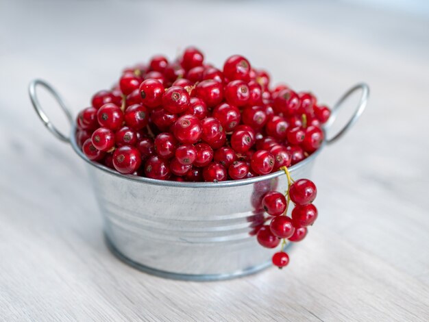 A metal basin filled with red currants.