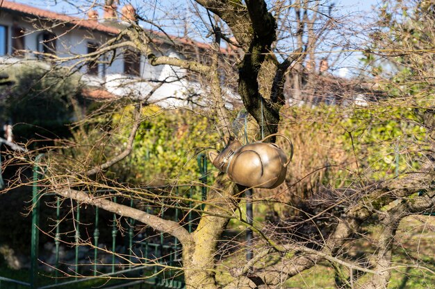 A metal cat is hanging from a tree branch