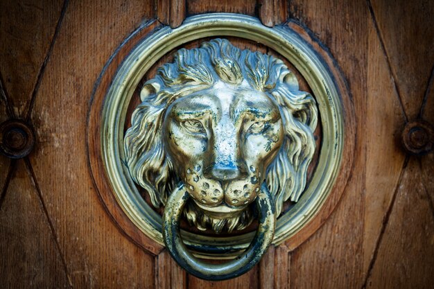 Metal decoration in the form of a lion's head on an old door