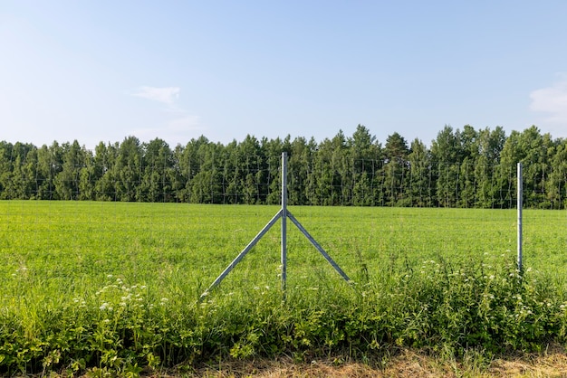 Metal fences for animal protection