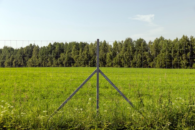 Metal fences for animal protection