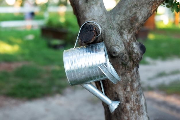 Metal galvanized Watering can on tree in summer garden. Gardening concept and hobby.