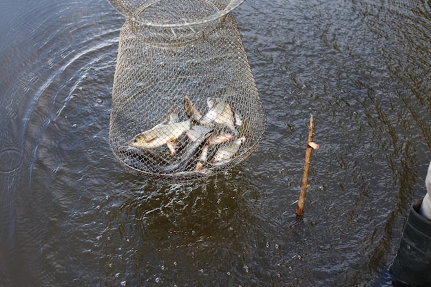 Metal mesh cage for fish is installed in the river water near the shore