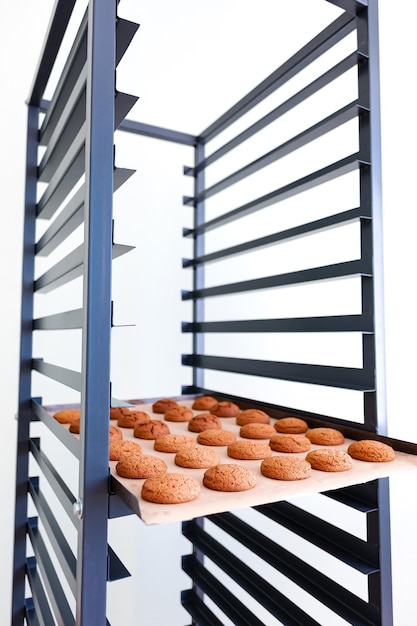 Metal rack with freshly baked cookies on a white background.