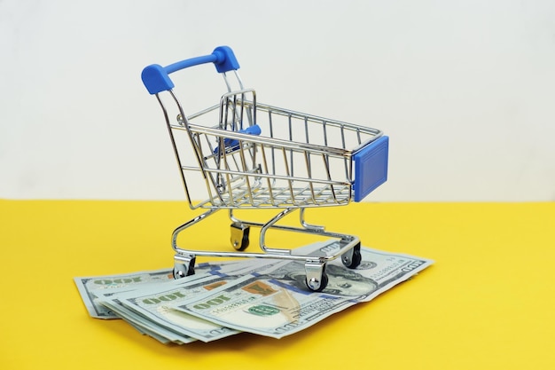 Metal shopping cart stands on top of a stack of hundred dollar bills