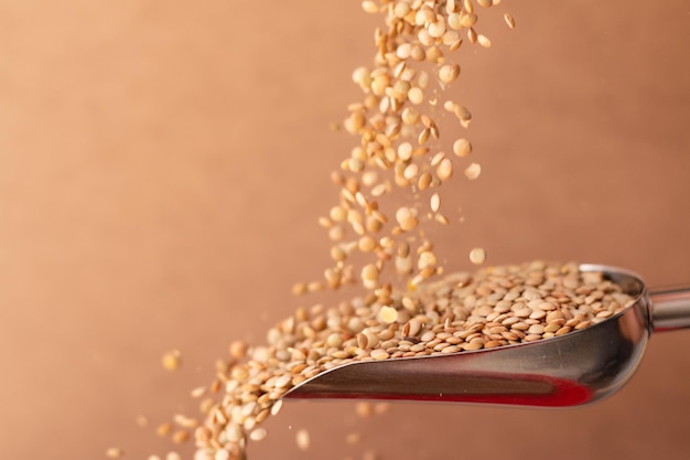 Metal spoon with lentils. Lentil grains falling. Copy space. Isolated on brown background.